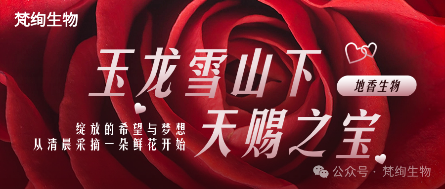 01 Blog